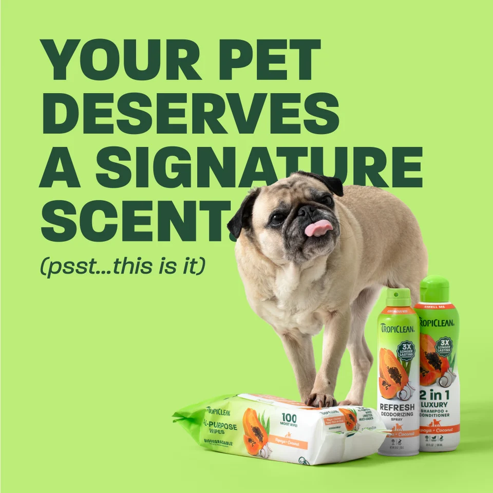 TropiClean Papaya Bliss Bundle - Image 2
